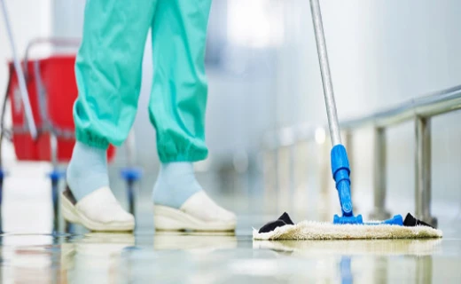 Dépigeonnisation Fes