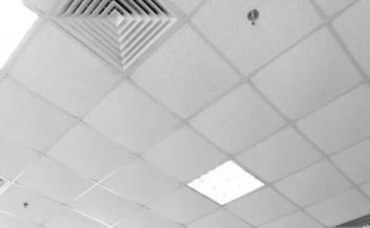 Faux plafond Echemaïa